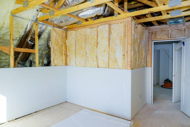 Best Commercial Insulation in Lucas, TX