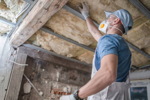 Best Insulation Maintenance and Repair in Lucas, TX