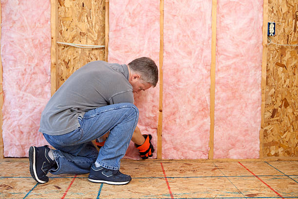 Best Fiberglass Insulation in Lucas, TX