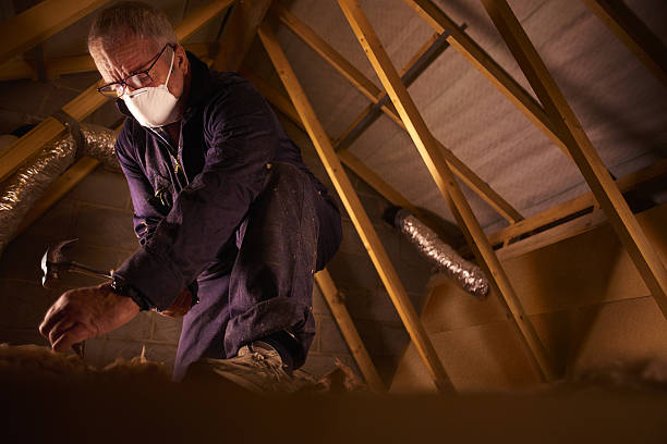 Best Spray Foam Insulation in Lucas, TX